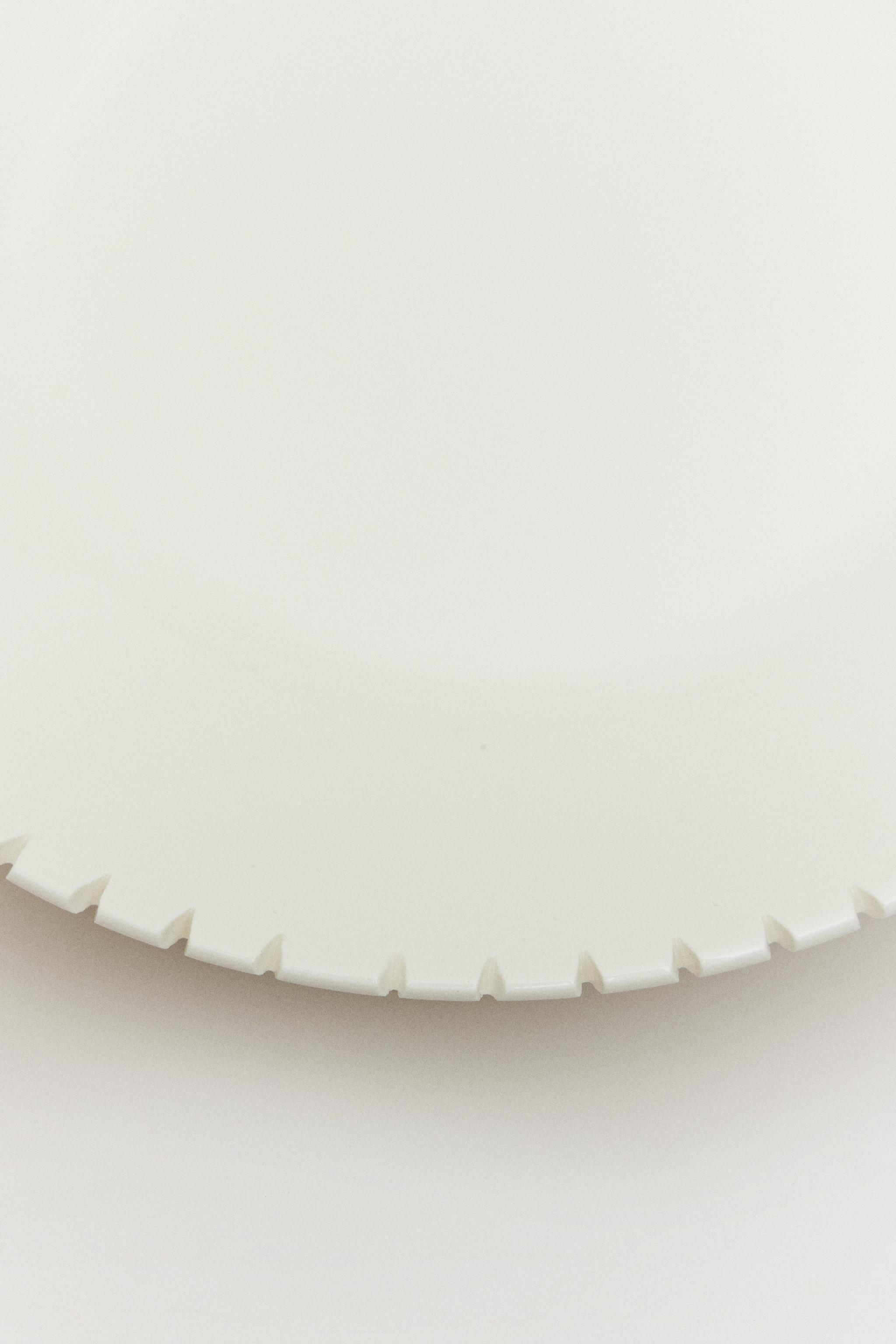 THE DENTATA PASTA PLATE