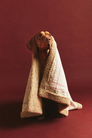 PLAID ANIMAL DE COMPAGNIE CARREAUX RÉVERSIBLE - Beige clair de Zara