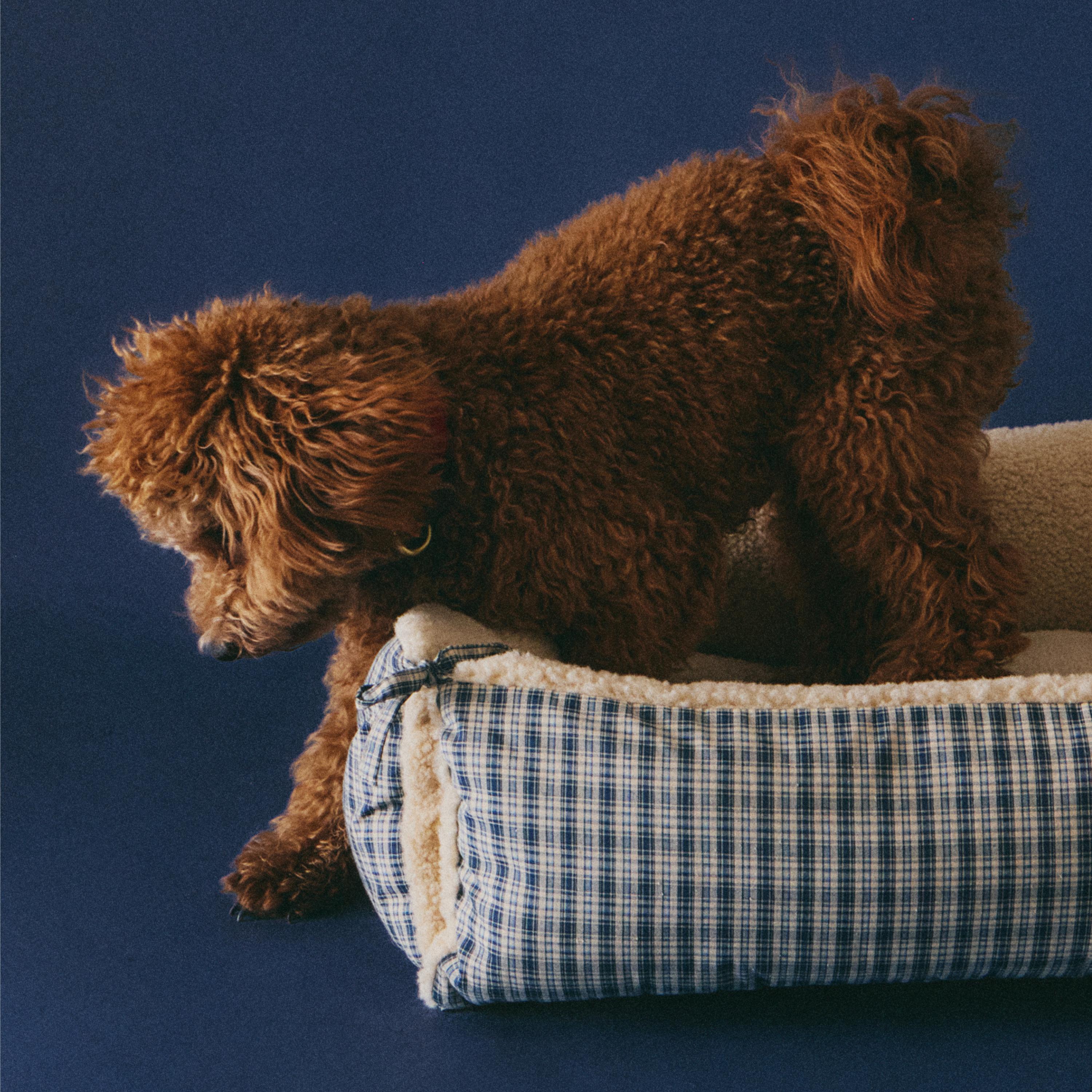 ザラホーム(Zara Home) | ZARA 日本