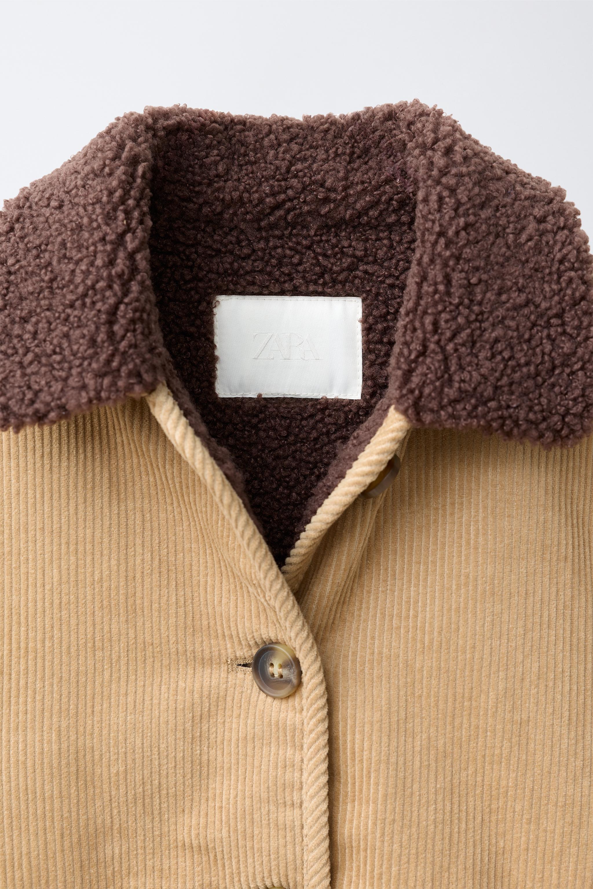 BLOUSON DAIM PANA BORREGUILLO OSITO BORDADO