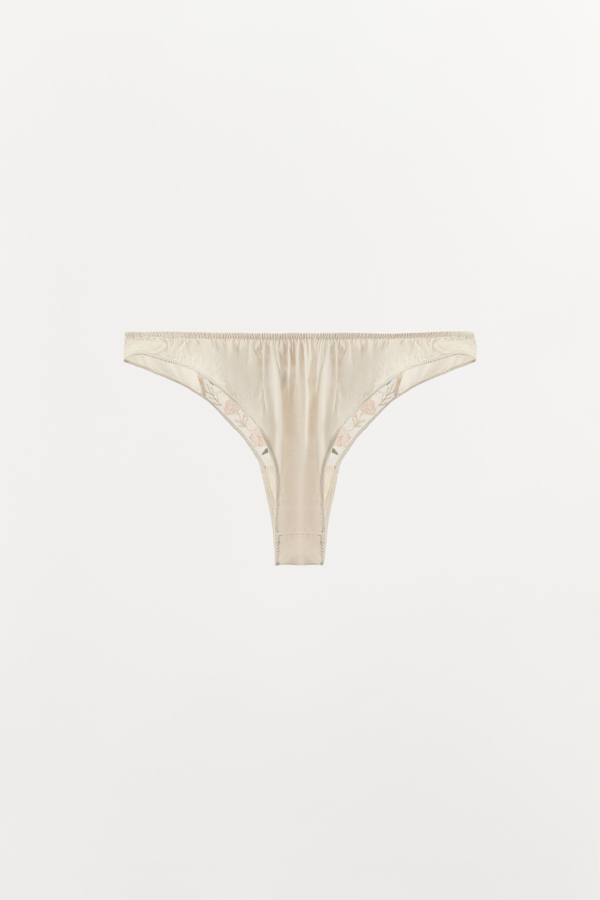 COMBINATION EMBROIDERED TULLE BEADED PANTIES - Ecru | ZARA United