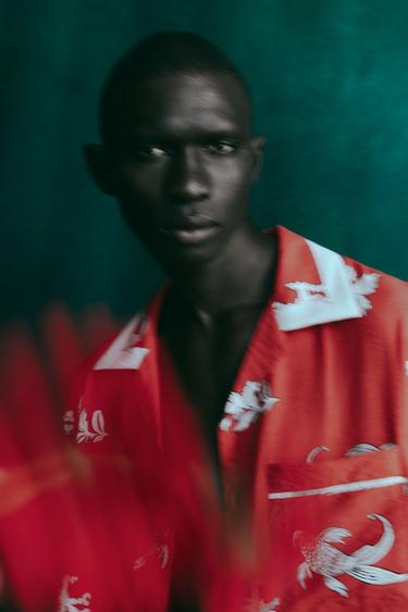 СОРОЧКА З ПРИНТОМ КОРОПІВ - Екрю/червоний Zara