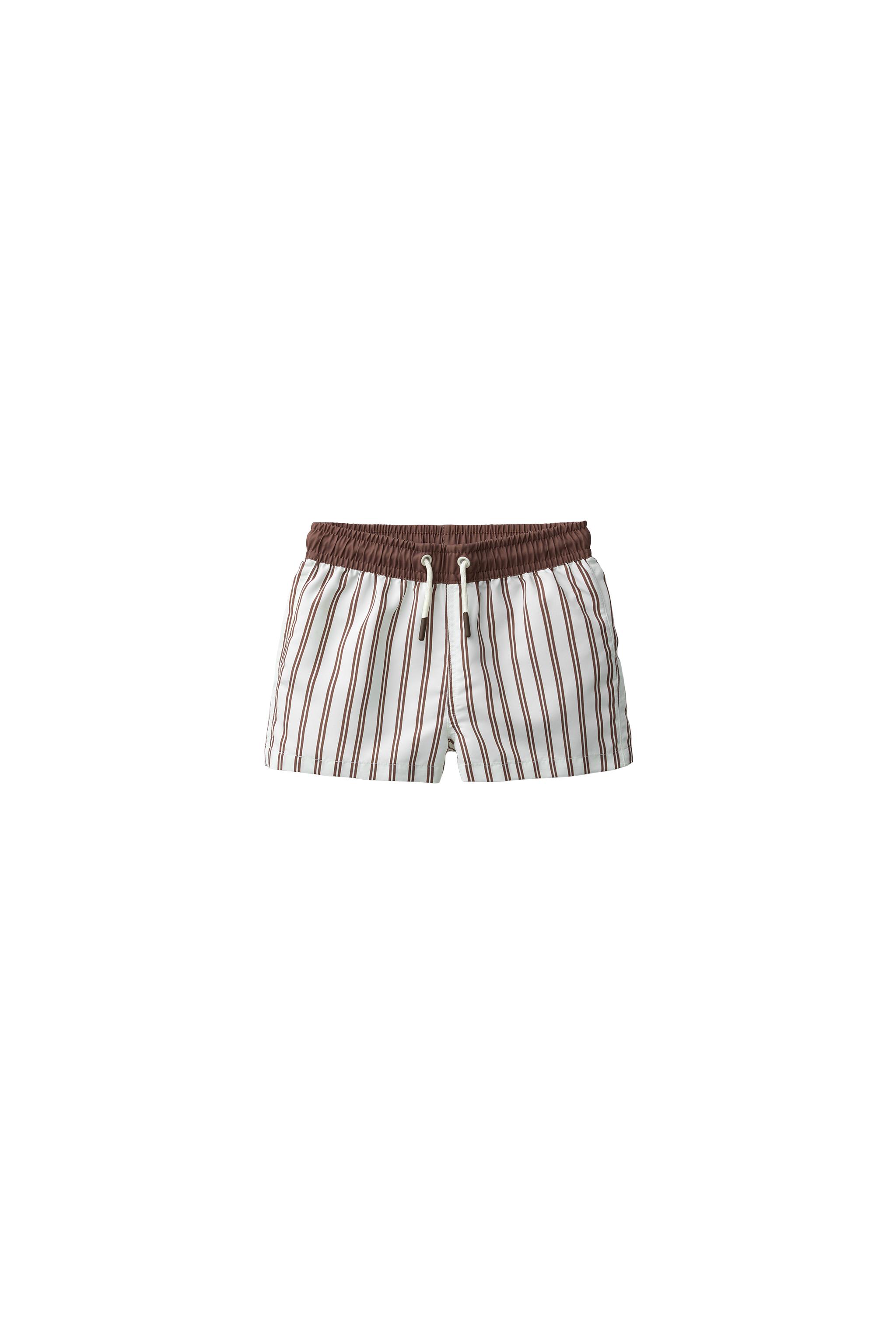 1-6 Years/ Striped Swim Shorts - Image 4
