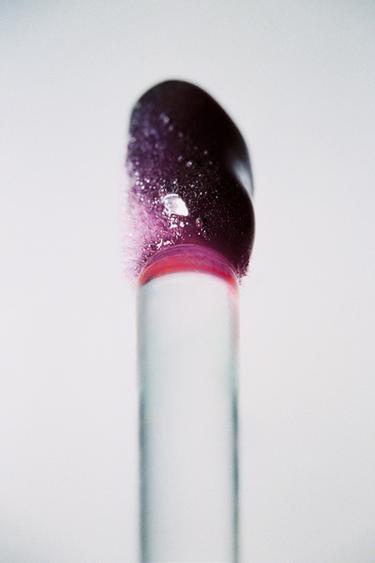 MIDNIGHT TRICK TINTED GLOSS - 2-474 by Zara
