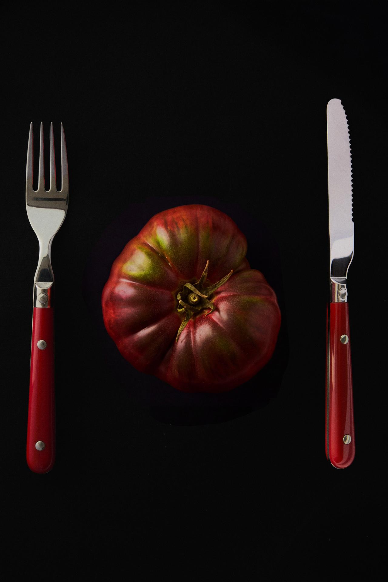 CUTLERY SET WITH RED HANDLE (SET OF 4) — Red