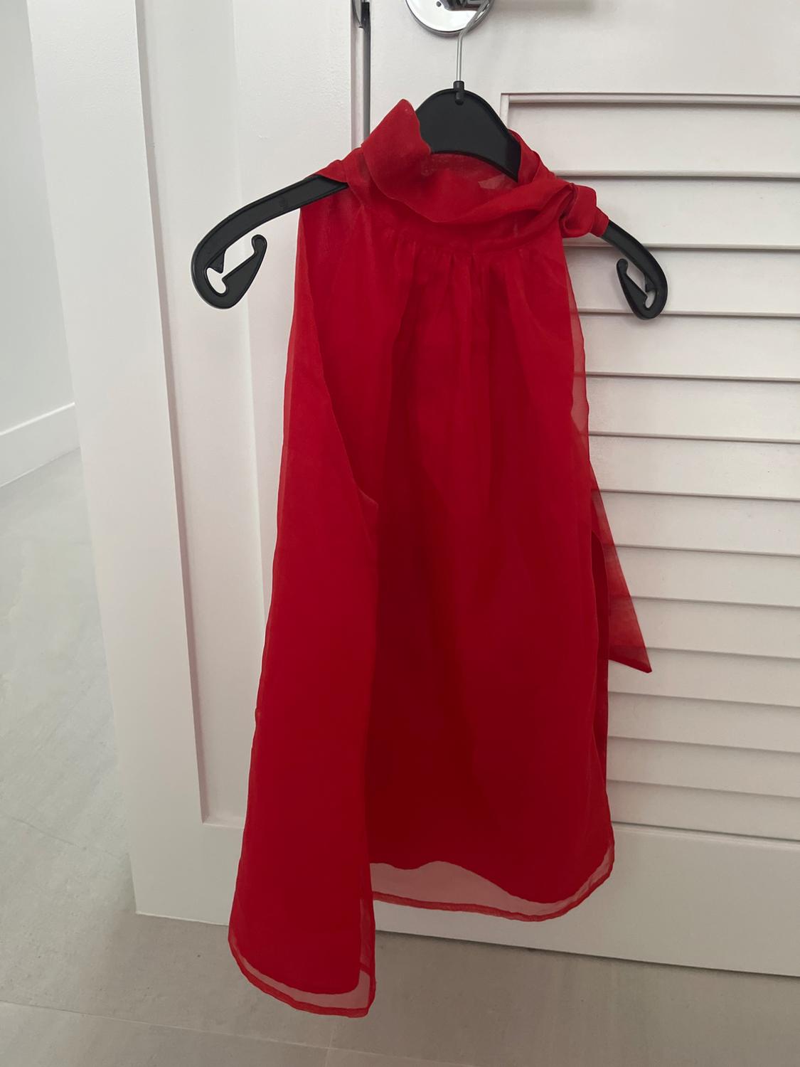 Red chiffon dress hanging on a black hanger over a white door. Minimalist and modern atmosphere.