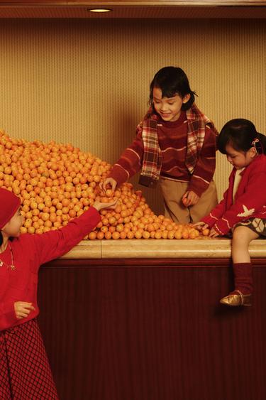 Zara 刺繡馬匹針織開襟衫 - 紅色