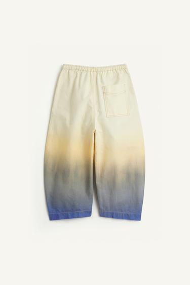 Zara DP DY PNT 16 - Printed