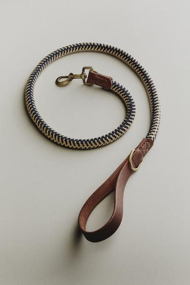 CORREIA DE CORDA COLORIDA PARA CÃES - Azul da Zara