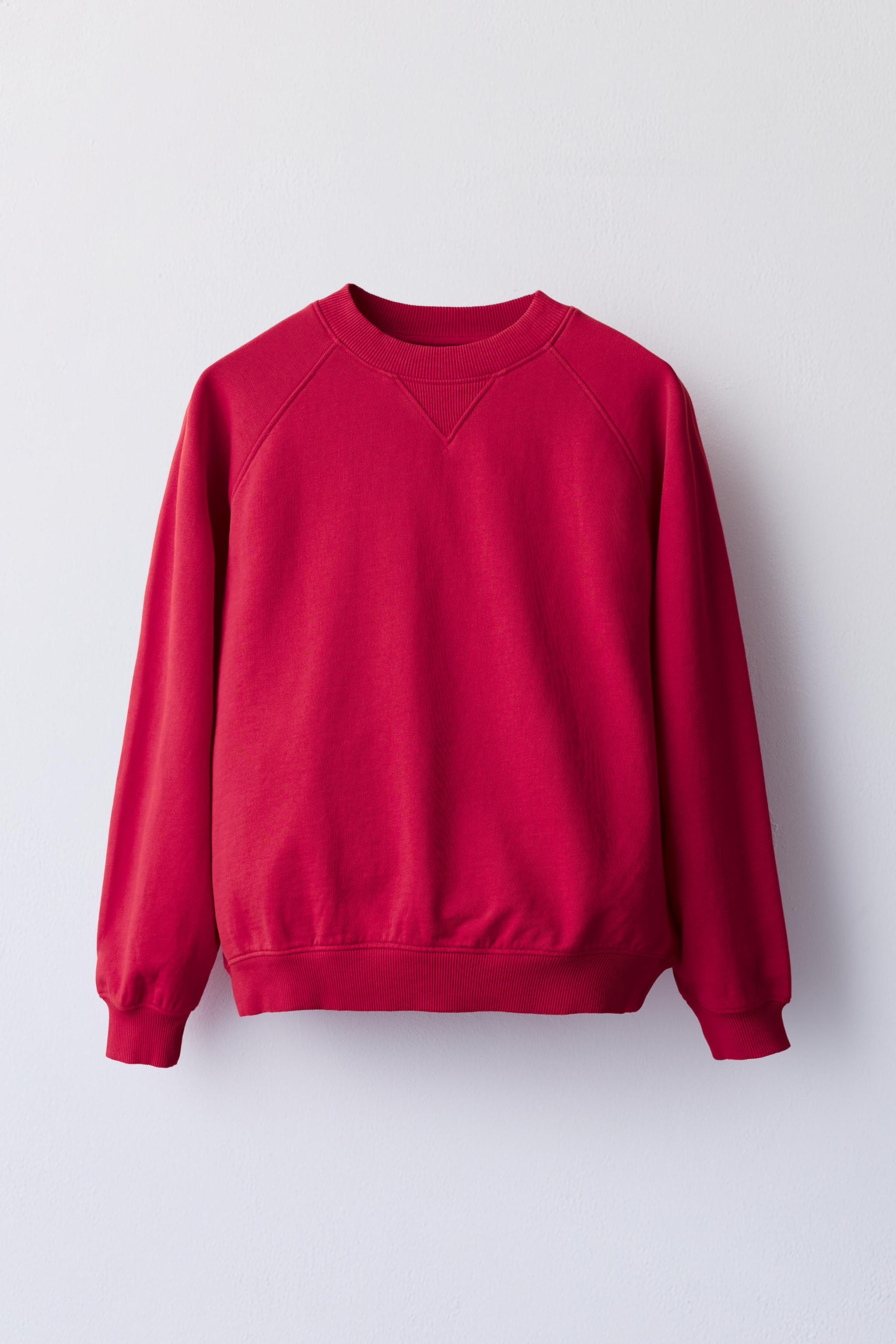 PLAIN COTTON SWEATSHIRT — Dark fuchsia