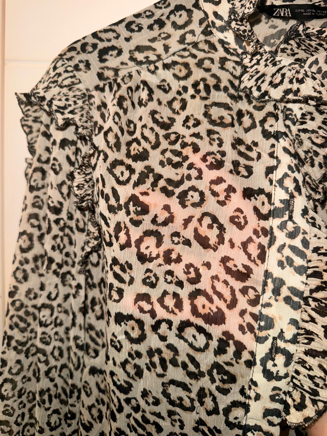 ΠΟΥΚΑΜΙΣΟ ANIMAL PRINT - Image 3