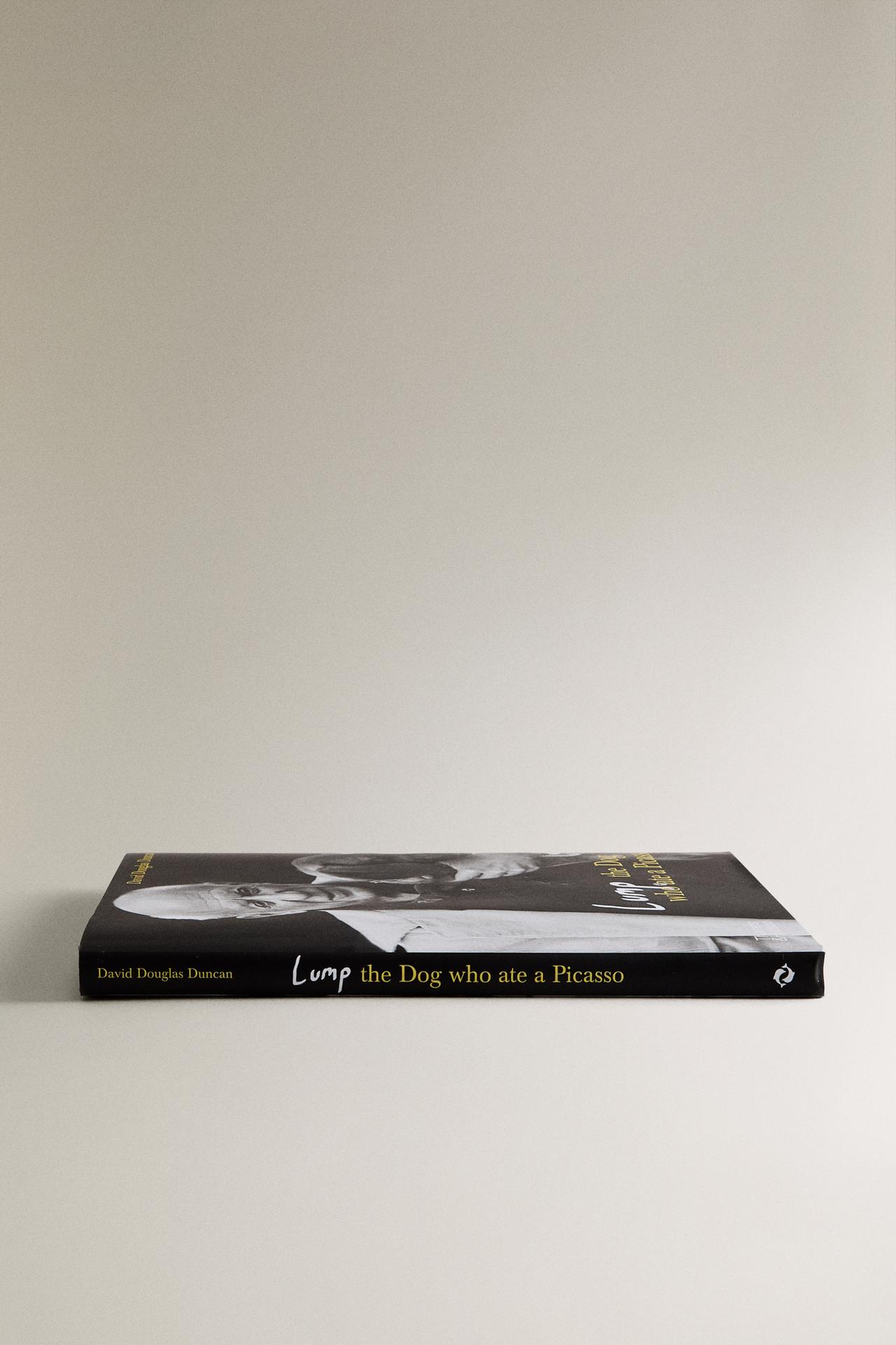 LUMP THE DOG WHO ATE A PICASSO BOOK (ENGLISH) — Black