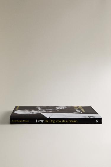 LUMP THE DOG WHO ATE A PICASSO BOOK (ENGLISH) — Black 2