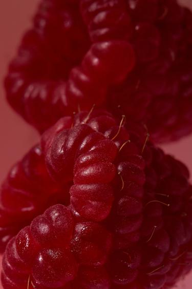 Zara GARDENIA EDP 150ML (5.7 FL. OZ) -  - Image 0