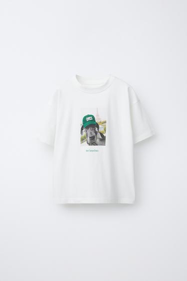 CAMISETA ESTAMPADO PERRO - Blanco de Zara - Imagen 0