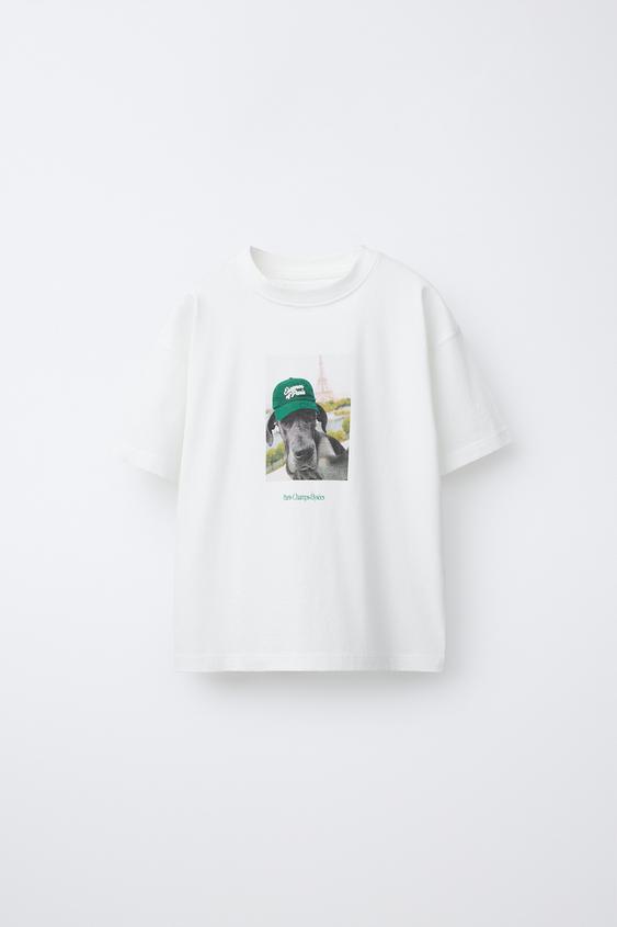 DOG PRINT T-SHIRT - White by Zara - Image 0