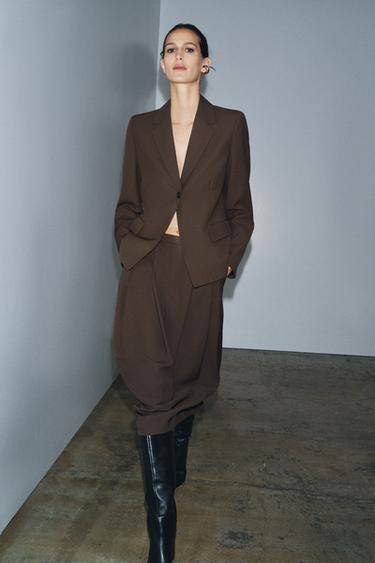 JUPE À PLIS AVEC LAINE ZW COLLECTION - Vison de Zara - Image 1