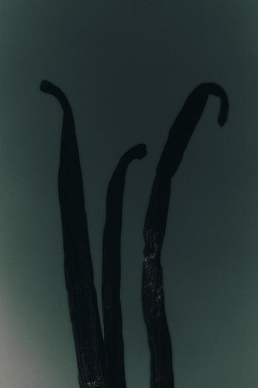 IMMORTAL VANILLA EDP 30ML / 1.01 oz -  by Zara - Image 3