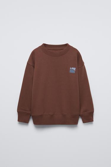 FLOCKED SLOGAN HOODIE - Brown by Zara