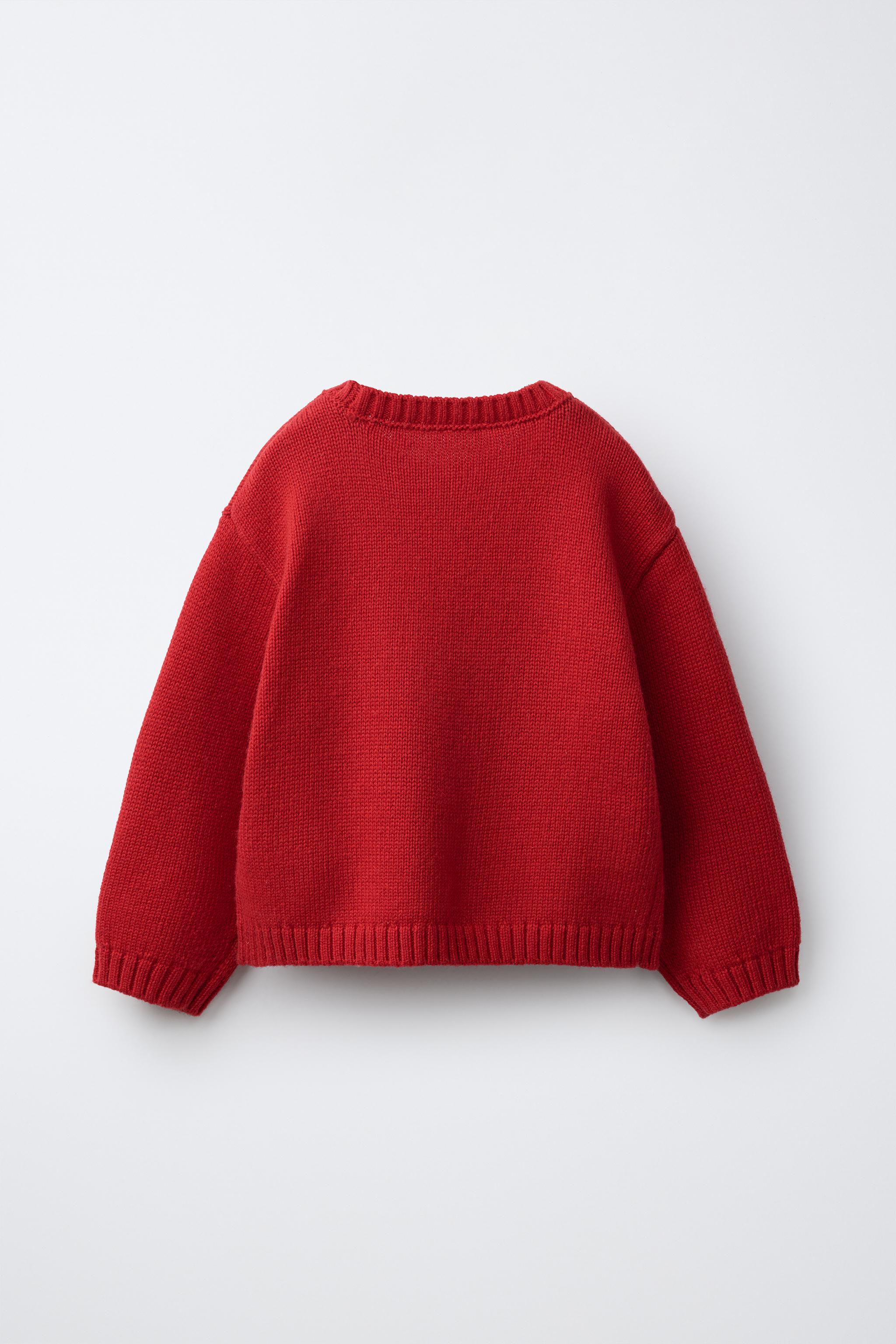 PULL EN MAILLE CHIEN AVEC LAINE