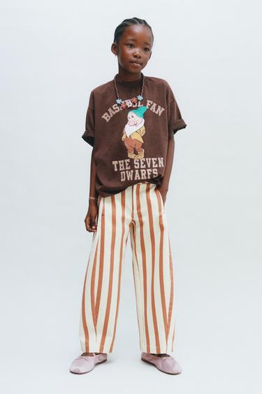 SNOW WHITE DWARF © DISNEY PRINT T-SHIRT - Brown marl by Zara