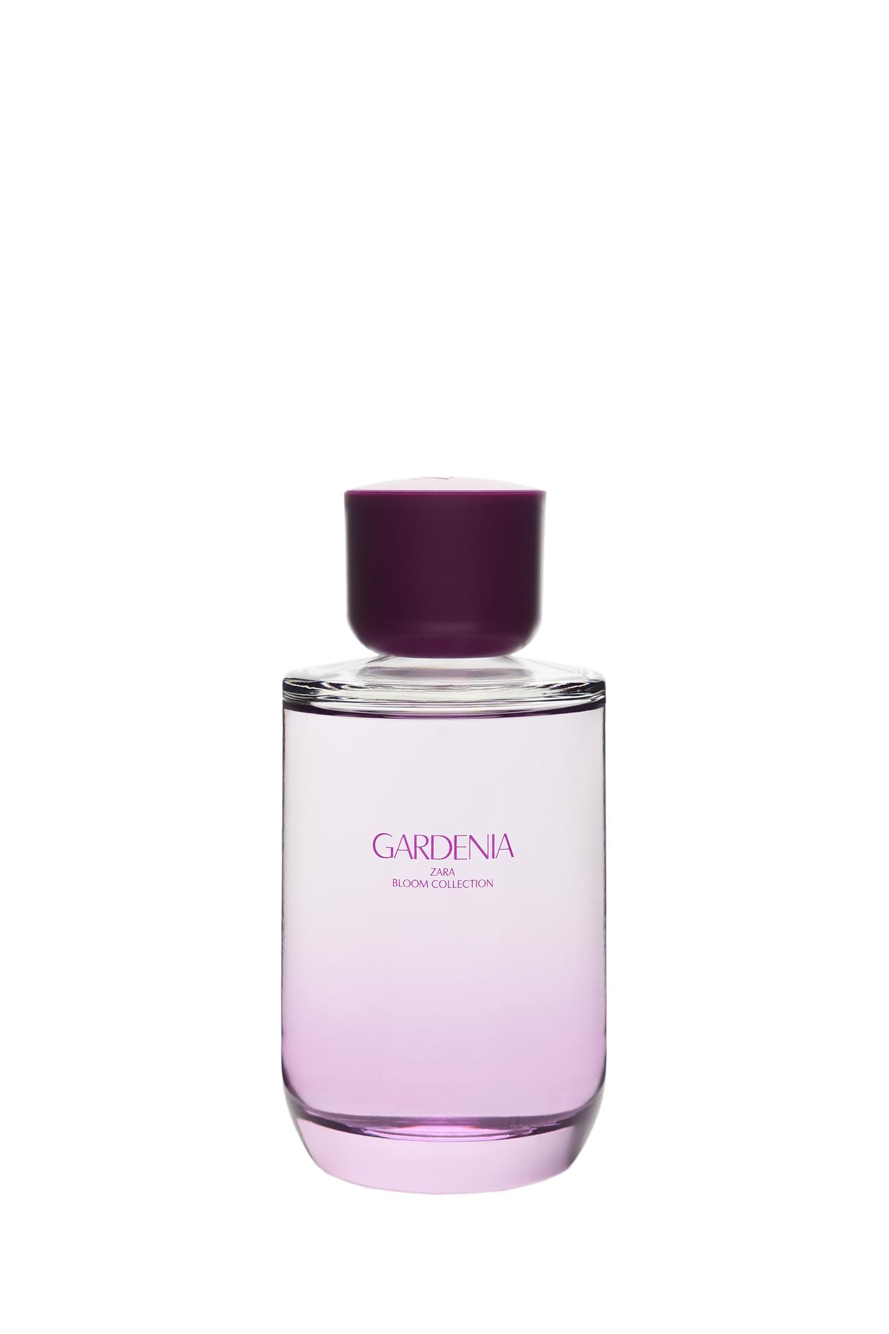 GARDENIA EDP 150 ML (5.7 FL. OZ.) — TINTED LEATHER