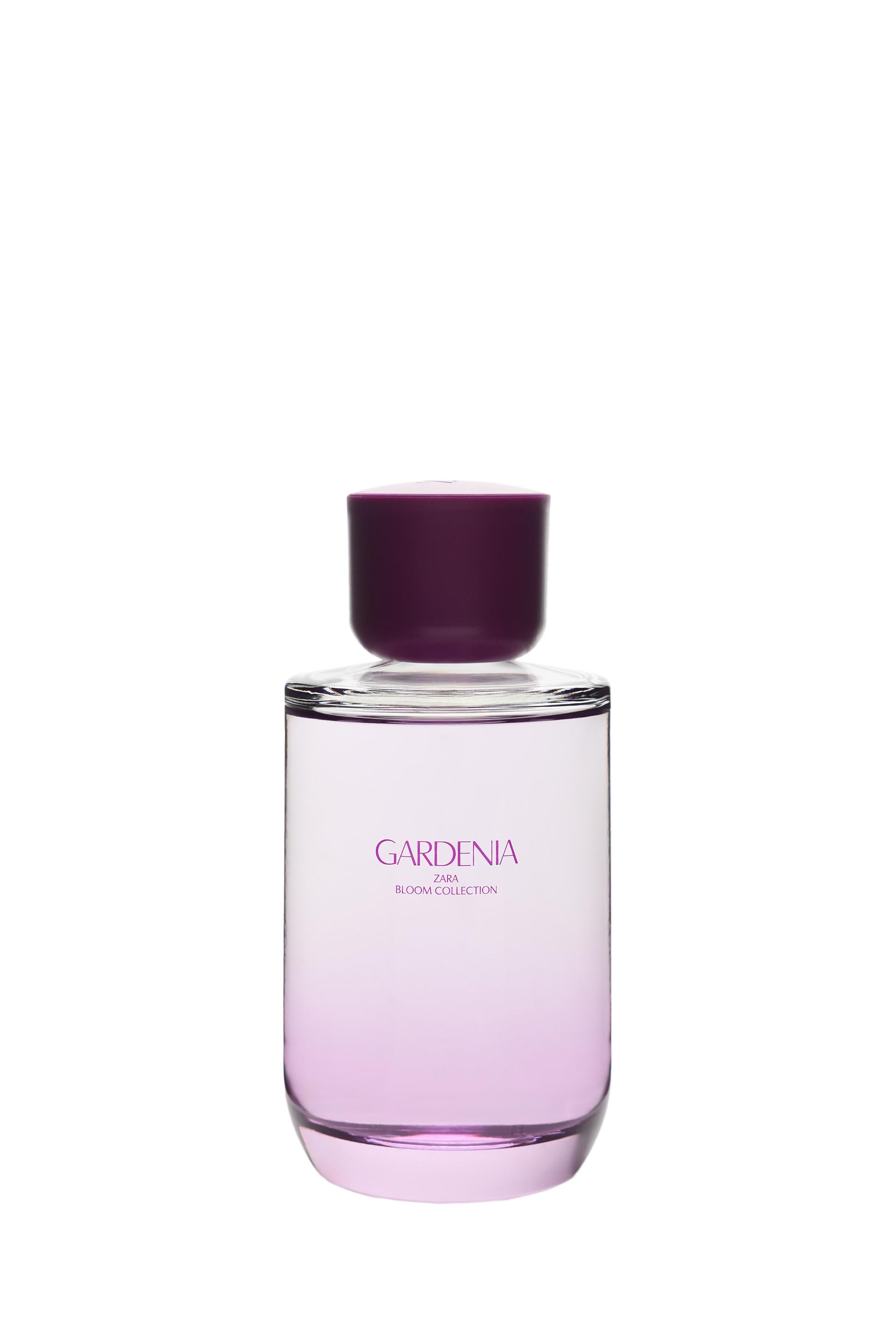 zara gardenia