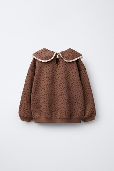 SWEAT IMPRIMÉ COL CLAUDINE DENTELLE - Chocolat de Zara - Image 1