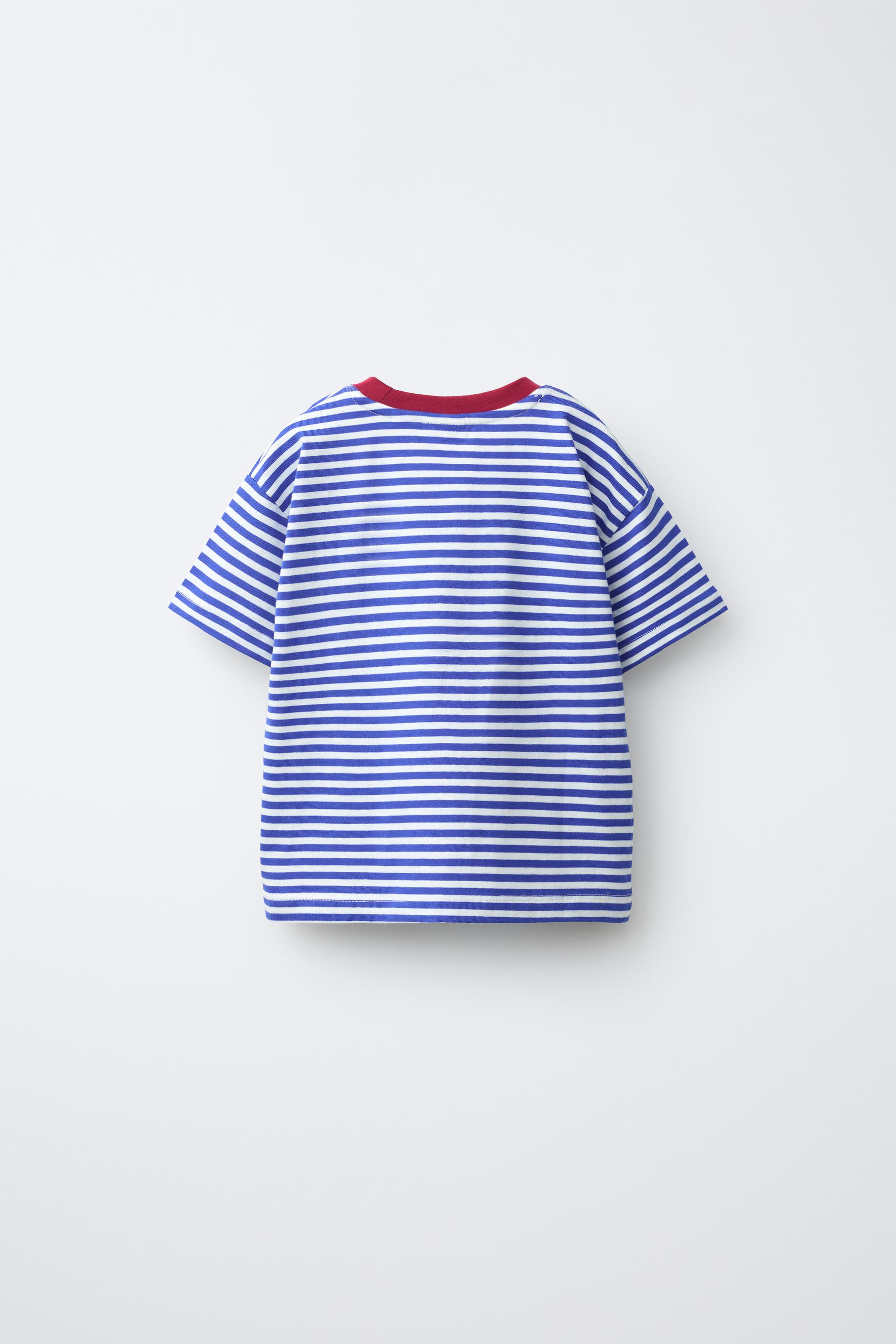 STRIPED CONTRAST NECK T-SHIRT — Blue / White