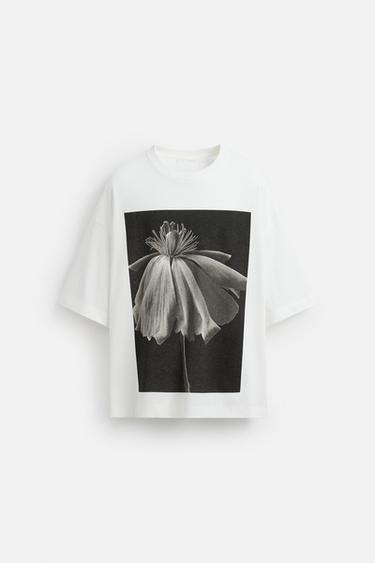 PHOTOGRAPHIC PRINT T-SHIRT - Oyster-white by Zara