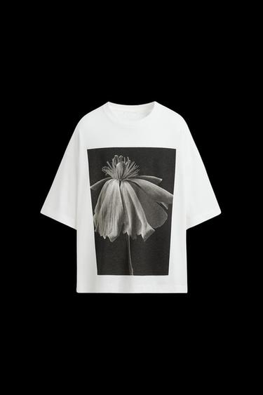 PHOTOGRAPHIC PRINT T-SHIRT - Oyster-white by Zara