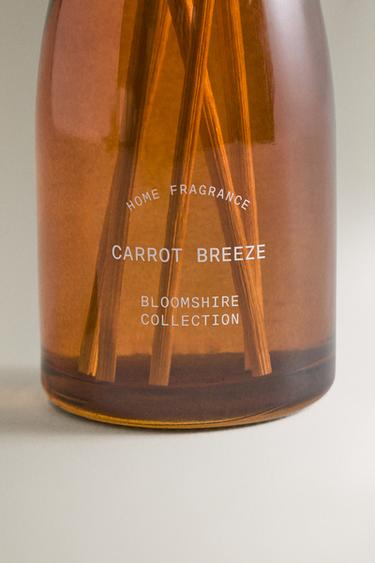 (100 ML) CARROT BREEZE REED DIFFUSERS - Oranges by Zara - Image 2