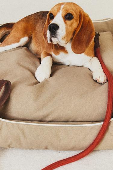 PET BED WITH PIPING - Beige by Zara - Image 4