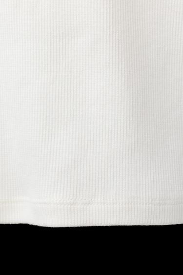 Zara BUTTERBEAR © RAGLAN SLEEVE T-SHIRT - Oyster-white