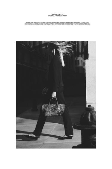 Zara LOOK - Brown