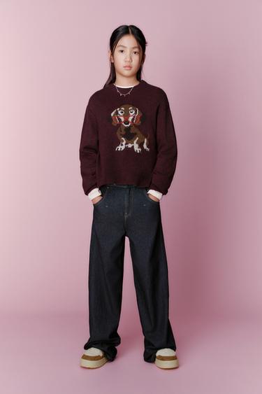 EMBROIDERED DOG KNIT SWEATER - Burgundy by Zara