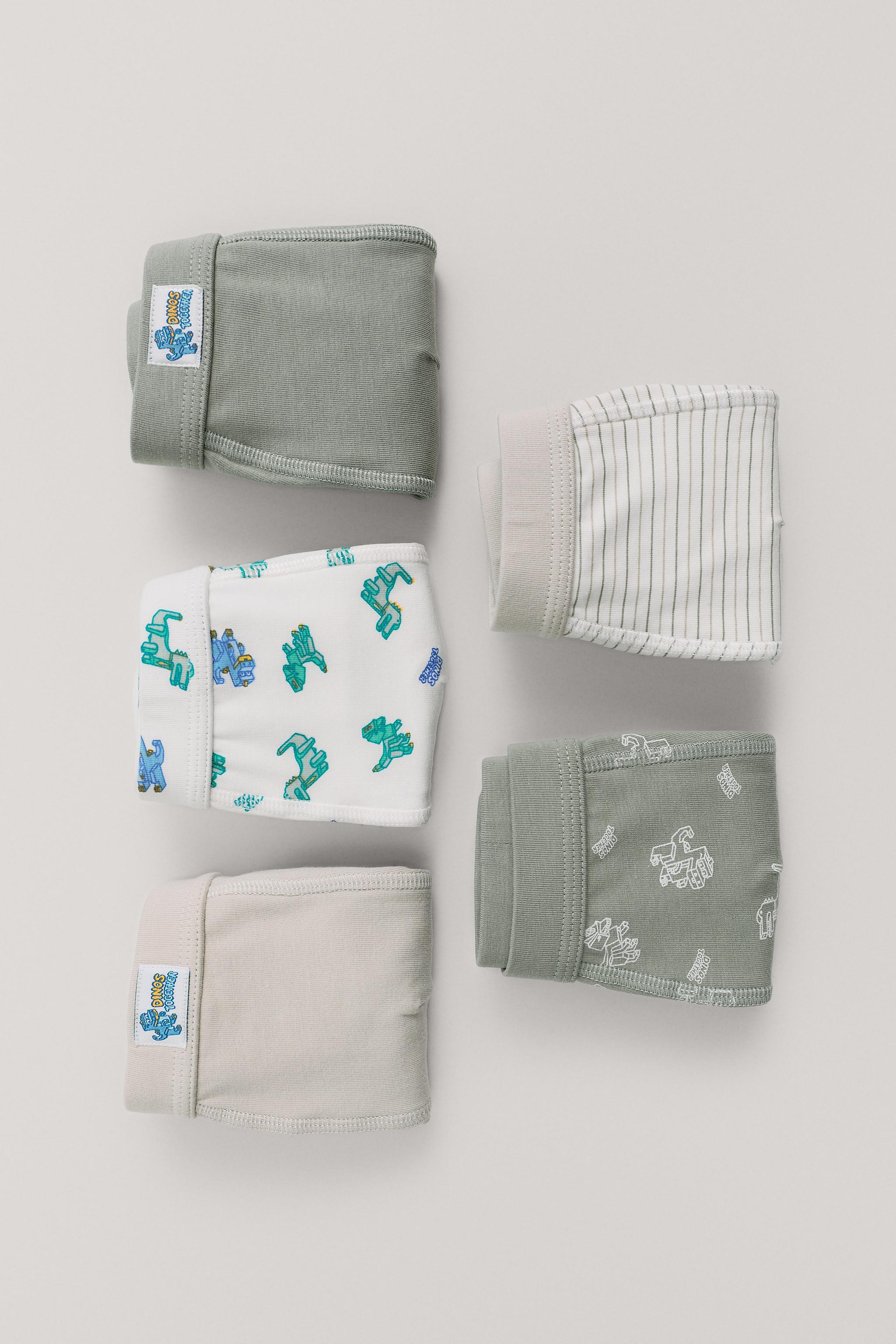 2-6 YEARS / FIVE-PACK OF DINOSAUR BOXERS — Multicolored