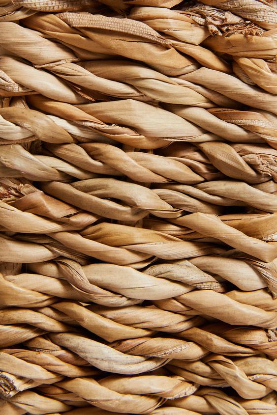 NICHE ANIMAL DE COMPAGNIE - Beige clair de Zara - Image 5