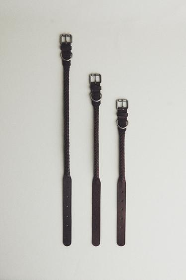 Zara BRAIDED LEATHER DOG COLLAR - Brown