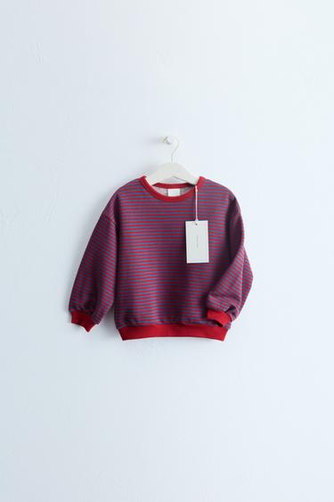ZARA TIMELESS - 스트라이프 프린트 스웨트셔츠 - Zara 레드