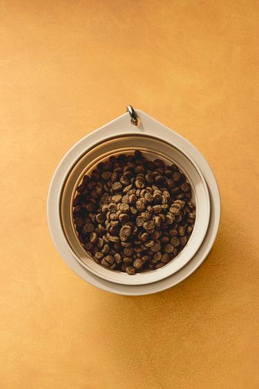 FOLDABLE SILICONE PET FOOD BOWL - Ecru by Zara - Image 5