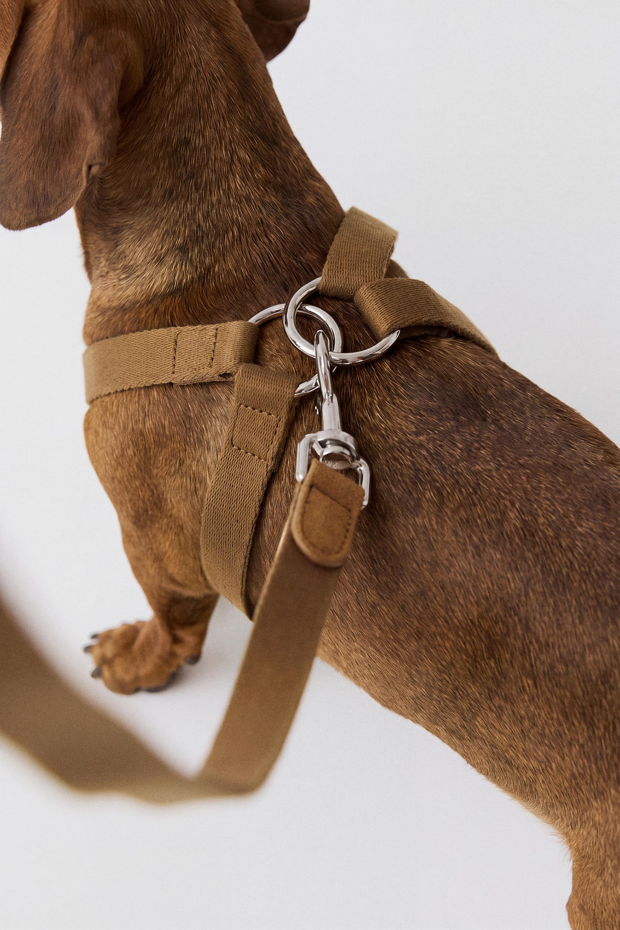 LEATHER PET HARNESS — Beige