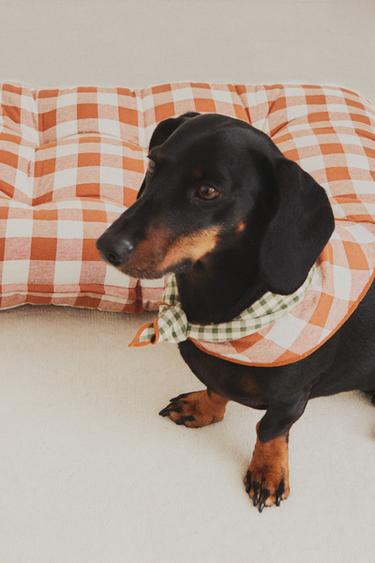 TOPPER PARA ANIMAIS DE ESTIMAÇÃO QUADRADOS VICHY - Laranja da Zara