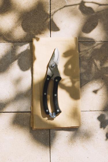 GARDEN SCISSORS - Dark brown by Zara - Image 4