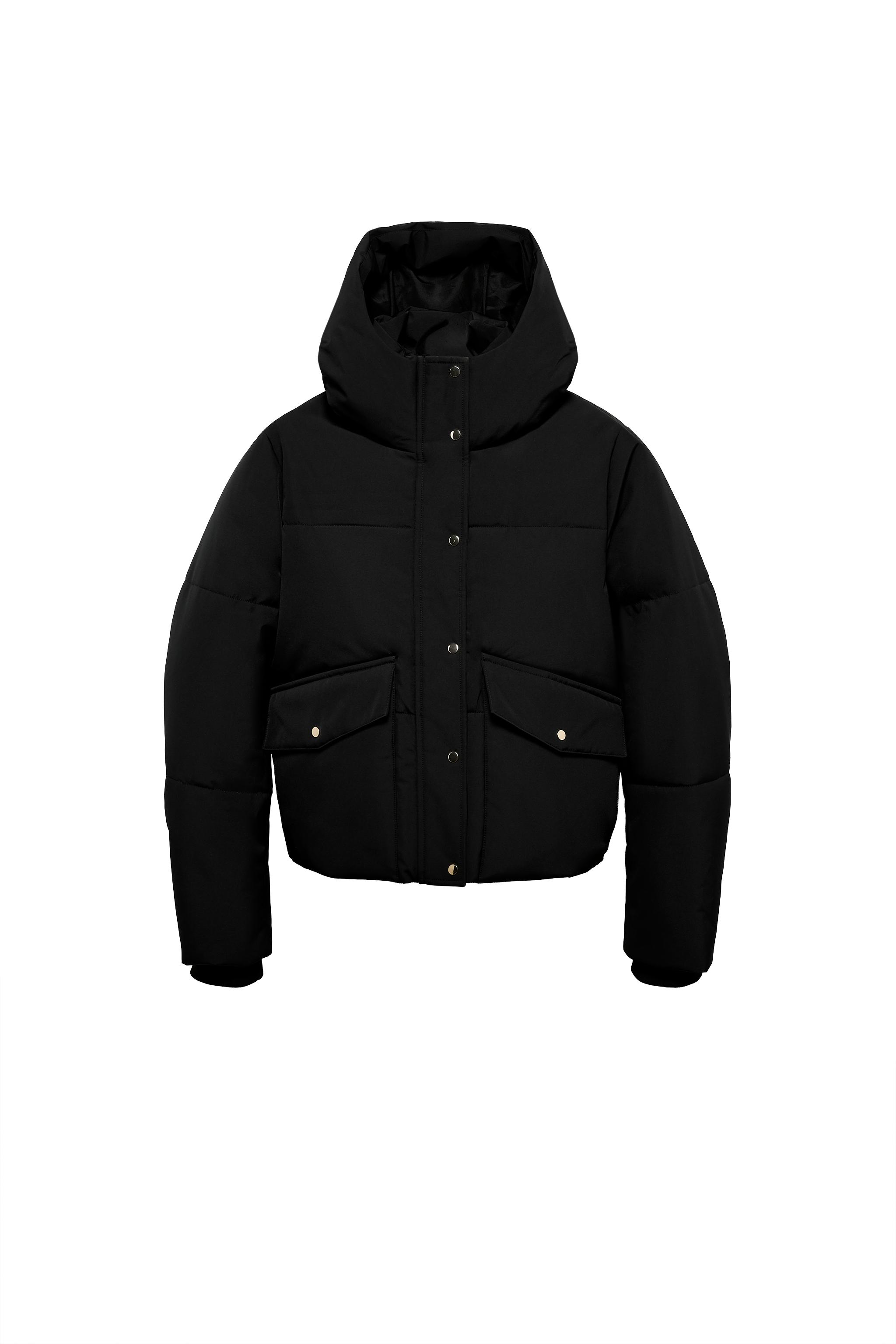 08073235800-f1.jpg?ts=