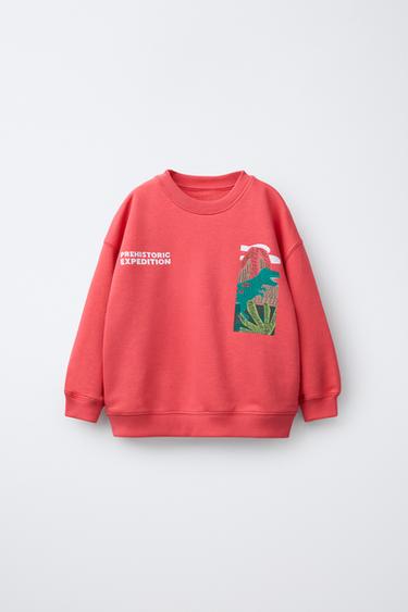 SUDADERA DINOSAURIOS - Rojo / Coral de Zara - Imagen 0