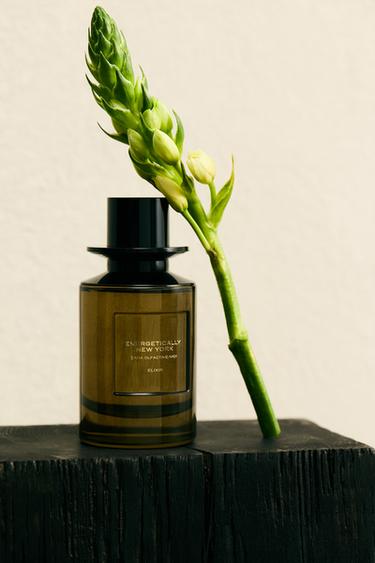 ENERGETICALLY NEW YORK ELIXIR PARFUM سعة 100 مل (3,4 أونصة سائلة) - TINTED LEATHER الخاص بـ Zara