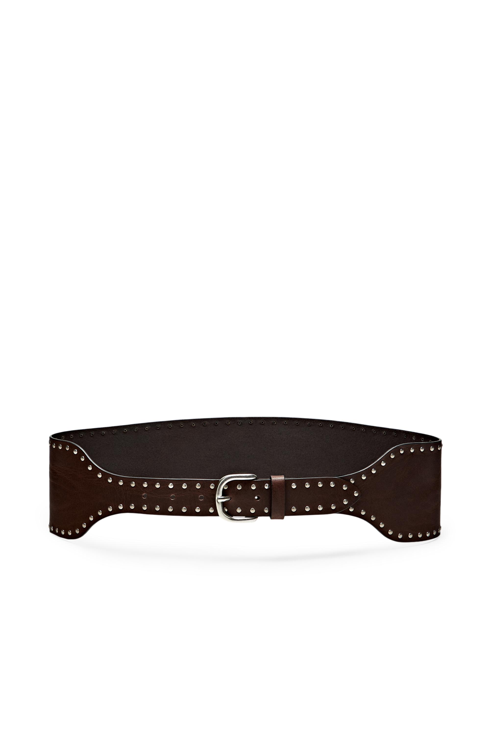 Nappa leather stud belt - Brown | ZARA United States