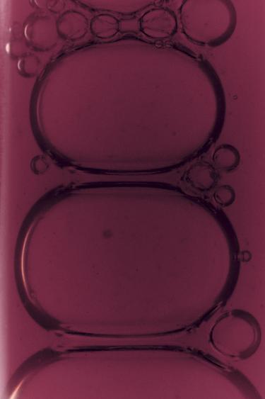 MOONLIGHT WHISPER EDP 80ML (2.71 FL.OZ). -  by Zara - Image 0