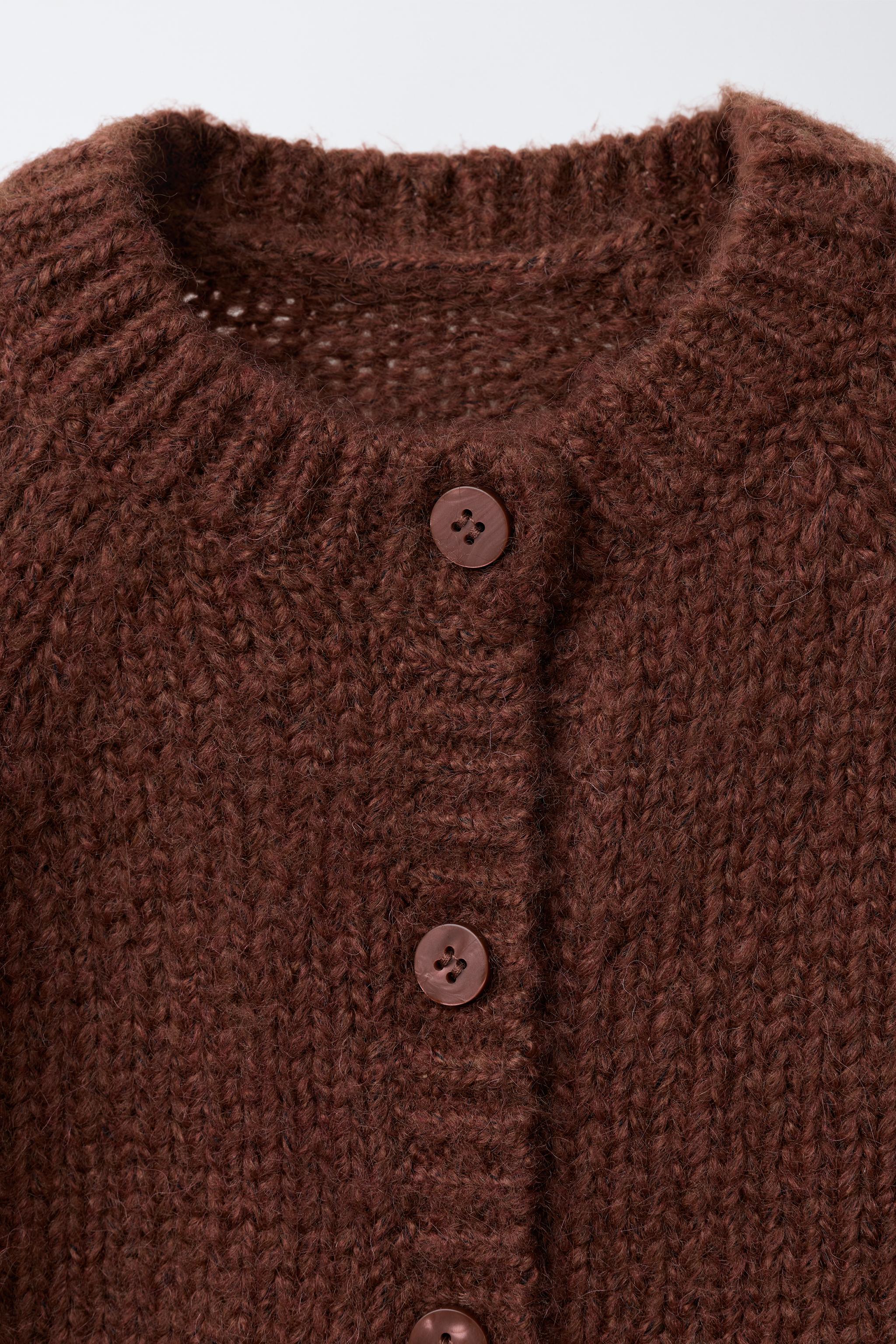 EMBROIDERED FLORAL CARDIGAN - Dark russet | ZARA United States